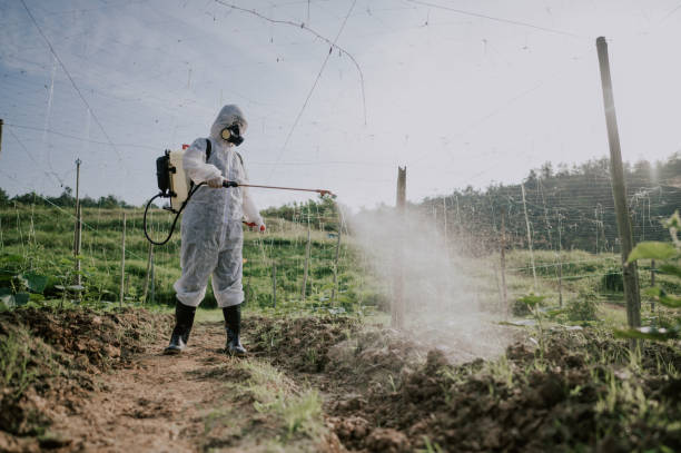 Best Pest Prevention Services  in Boiling Springs, PA