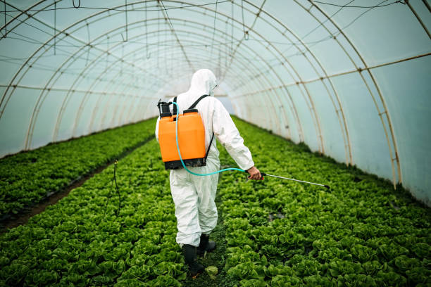 Best Affordable Pest Control Services  in Boiling Springs, PA