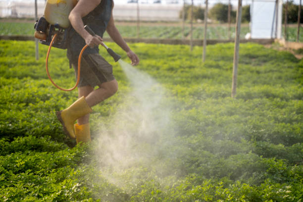 Best Residential Pest Control  in Boiling Springs, PA