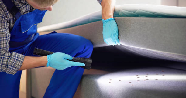 Best Termite Control Services  in Boiling Springs, PA